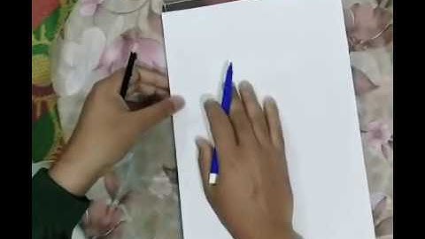 System of Linear Equations Part III, Hindi and Urdu language