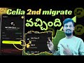 Celia tokens 2nd migrate start | Celia Token Migration process Step-By-Step Full Method in telugu 