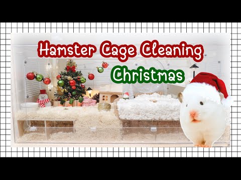 ทำความสะอาดกรงหนูแฮมสเตอร์ | แต่งกรงหนูแฮมสเตอร์ | My Hamster
