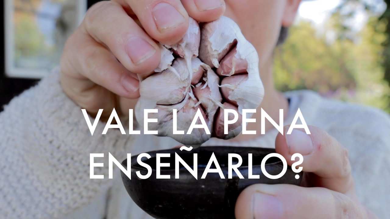 DE ESAS COSAS QUE UNO NO SABE SI ENSEÑAR 🤔 Pre-germinar #Ajos #CosechadeAceitunas #FloresdeInvierno