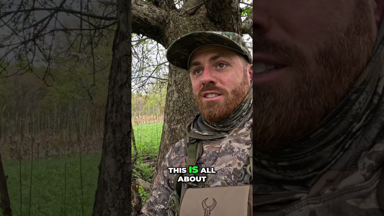 The Chase IS the Hunt