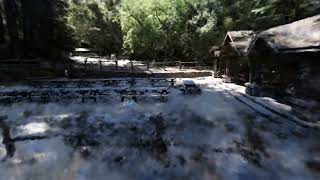 Neural Radiance Field (NeRF) Render of Sanborn County Park