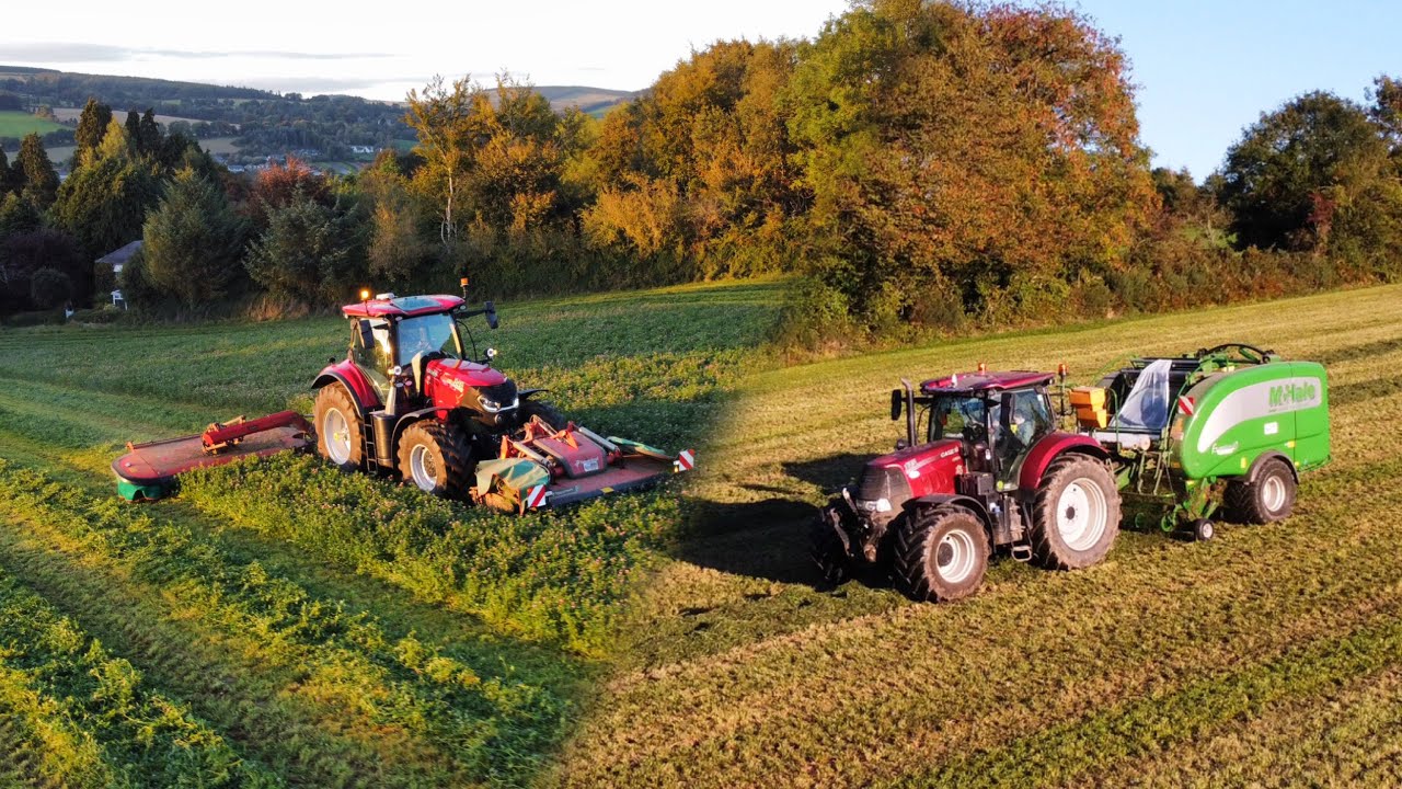 Силос красного клевера третьего укоса 2025!! ~ Case Puma 240 и McHale Fusion 3 Plus!!