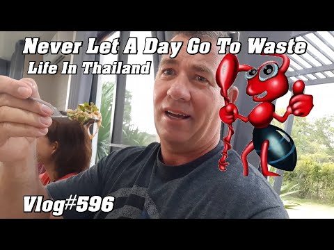 Never let a day go to waste. Life in Thailand Pak Chong ปากช่อง