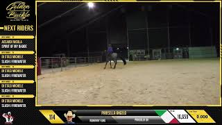 GOLDEN BUCKLE BARREL RACE - DAY 2