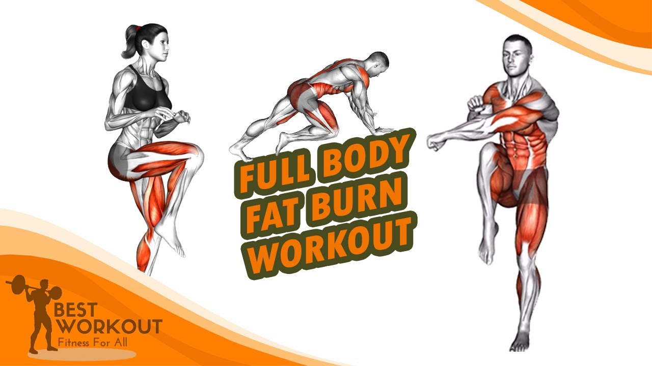 Full Body Fat Burn Workout at Home | Beginner Friendly No Equipment ...