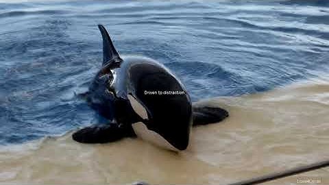 X&Y ᶜᵒᵐᵖˡᵉᵗᵉ