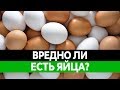 ВРЕД И ПОЛЬЗА ЯИЦ. Сырые яйца и сальмонеллез. Чем полезны и чем вредны?