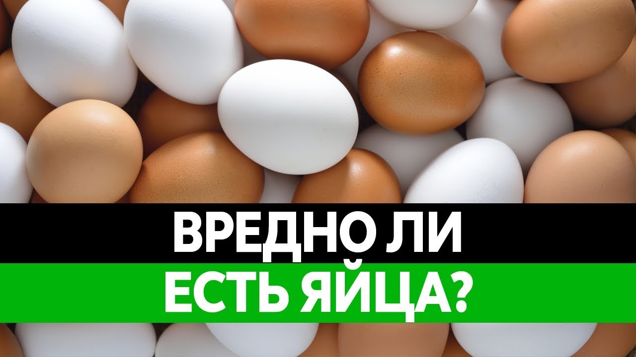 Куриные яйца польза и вред для организма. Польза и вред яиц. Вред яиц. Токсичное яйцо. Куриные яйца польза и вред.
