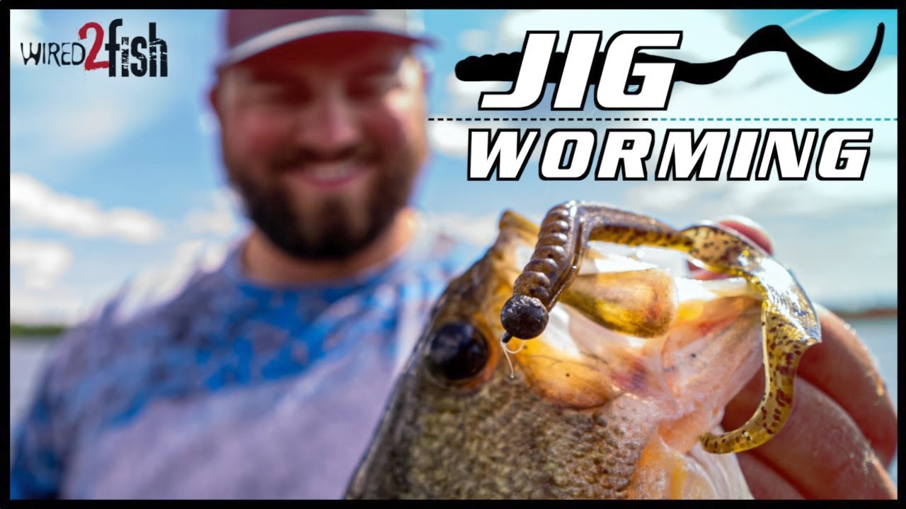 How to Jig Worm Summer Bass on Grass Edges 