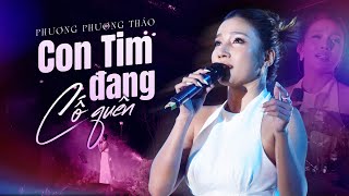 PHƯƠNG PHƯƠNG THẢO Bất Ngờ Tỏa Sáng Khi Thổi Làn Gió Mới Vào Những Bản Hit Của JIMMY NGUYỄN