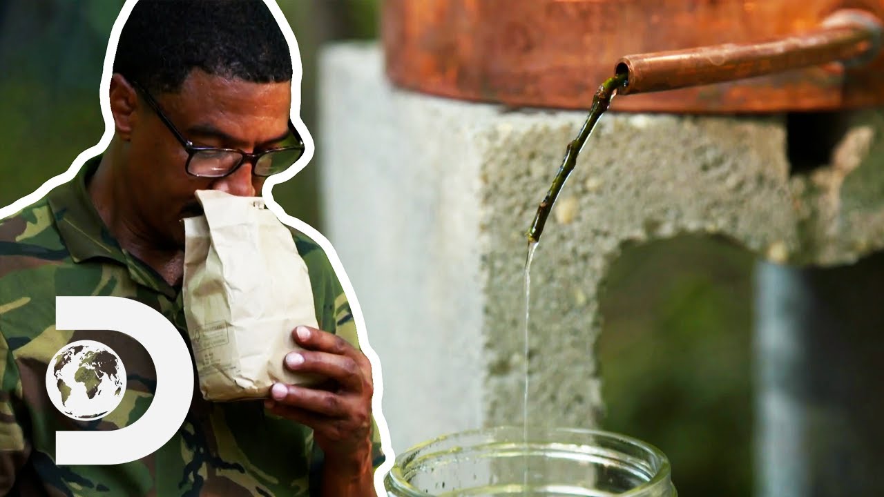 Richard and Craig Make ABSINTHE For The First Time | Moonshiners