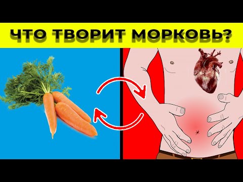 ЧТО БУДЕТ С ОРГАНИЗМОМ, ЕСЛИ РЕГУЛЯРНО ЕСТЬ МОРКОВЬ? / (Реальная польза и вред)