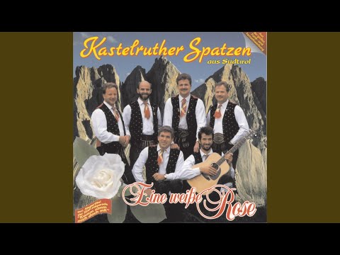 Eine weiße Rose