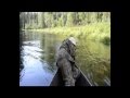 поездка на рыбалку, река Нондрус, за щукой, окунем, подъязками, ловля на блесна и воблер