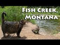 All Along The Fish Creek in Montana!