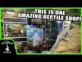 Touring the coolest reptile shop in texas dfw reptarium