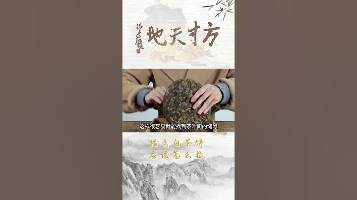 愛喝白茶的朋友一定要看完這個視頻，白茶餅應該這樣撬wechat：zcj049##召喚茶友 #普洱茶 #喝茶 - 天天要聞