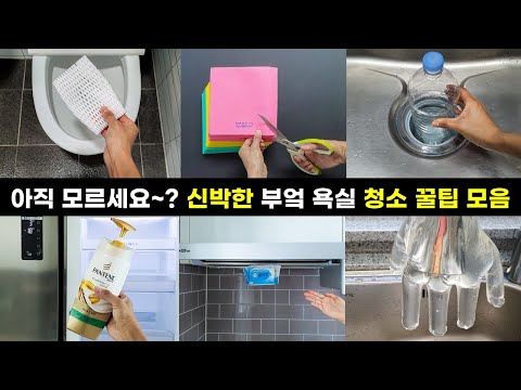 돈 한푼 안 들이고 하는 신박한 부엌 욕실 청소 꿀팁 13가지 재활용 아이디어 모음집  cleaning recycling tips