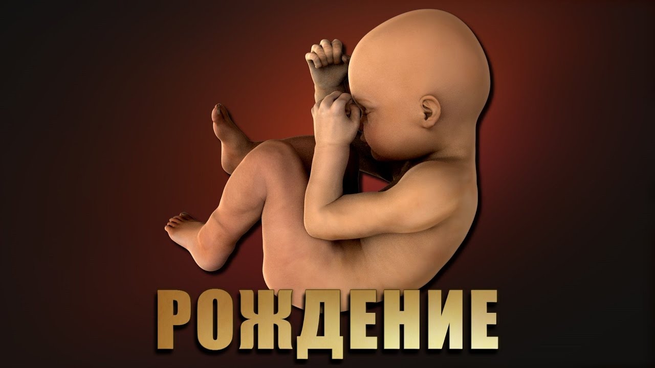 Мама и папа спасибо за жизнь картинки