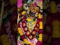 कृष्ण कन्हाई तेरी याद आ गई 🌹 Sunil Mahajan shyam ji 🌹