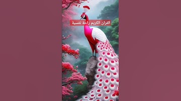القران الكريم بصوت الشيخ ياسر الدوسري #القرآن_الكريم #اكسبلور #دويتو #duet #راحة_نفسية #الشيخ_ياسر