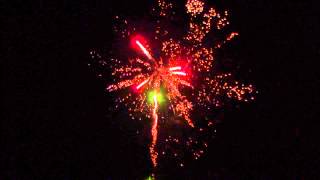 CGFP-118 (2013)