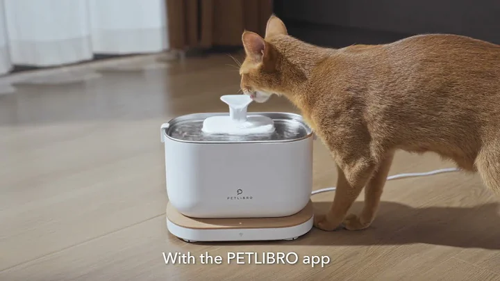 A View Into Your Cat's Hydration: Petlibro Dockstream Smart Fountain