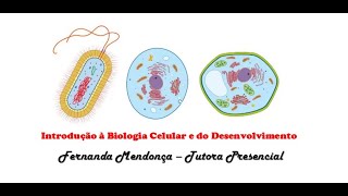 Introdução À Biologia Celular e do Desenvolvimento - TA2 -Fernanda Mendonça - Tutora Presencial