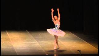 Gala 23ª Edição Passo De Arte - Balé Jovem Do Centro Cultural Gustav Ritter