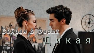 Дикая - Зимородок  (  сейран и ферит )      #зимородок #арфа #love #клип#музыка #music #