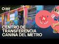 A + A -  Centro de Transferencia Canina del Metro (06/06/2026)