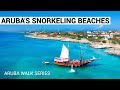 Walking at 4 GREAT BEACHES for snorkeling in ARUBA