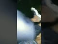 suka duka