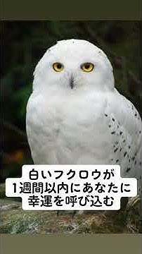 物凄い事 Youtube