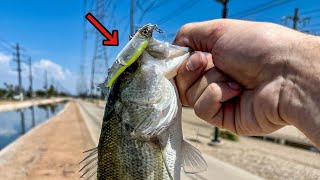 Canal Fishing the World's SMALLEST Glidebait!!