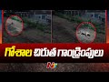 Leopard spotted near Mahanandi temple