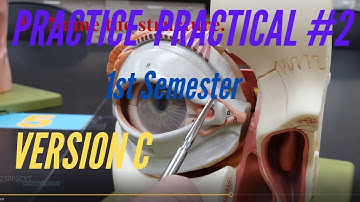 A&P PRACTICE PRACTICAL: 1st Semester Practice Practical #2 Version C