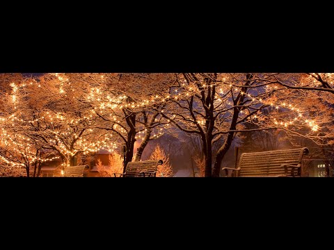 Sokak Lambasının Işığıyla Gece Kar Manzarası / Snowfall and Street Lamp 4K
