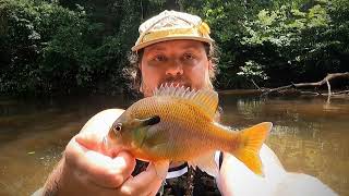 Another day fly fishing using a chubby chernobyl
