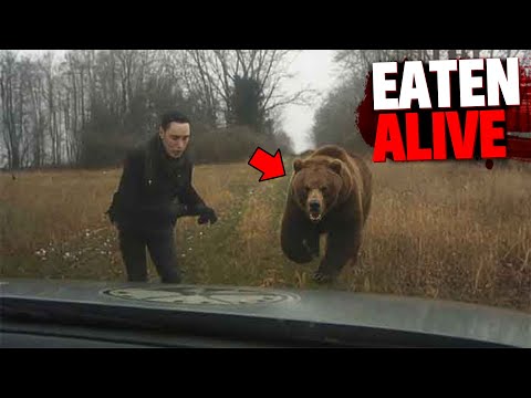 6 Most DISTURBING Animal Attacks of 2025 So Far...