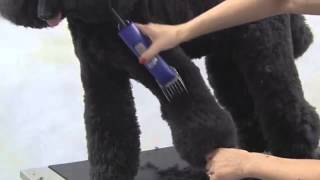 Andis - Pro Clip UltraEdge