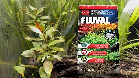 Fluval Stratum Tips and Guide