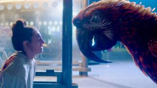 A24が放つ、それは命の“終わり”を告げる鳥／映画『終わりの鳥』予告編