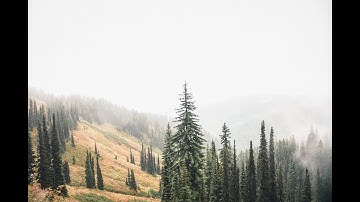 سورة الفتح بصوت القارىء ابراهيم الحق