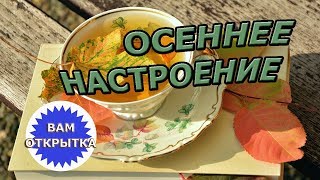 С осенью вас! Красивое осеннее слайд-шоу.