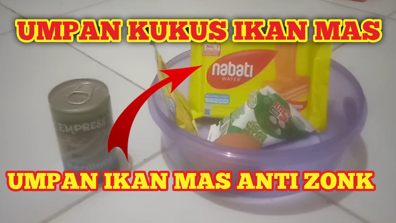 UMPAN KUKUS IKAN MAS WAFER NABATI Langsung test