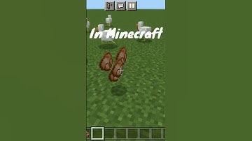 Minecraft Vs Real life.. #04