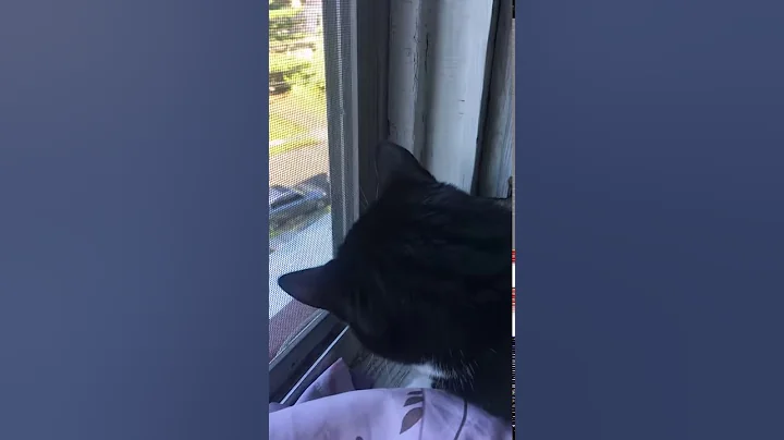 Bird double looks at death in the face