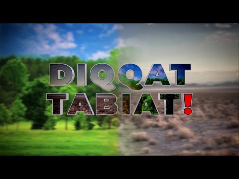 Polietilenlar tabiat uchun zararli(mi?) | @exclusivetv-ipc
